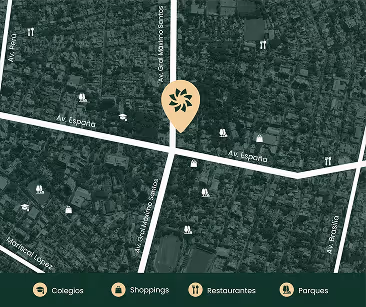 Mapa aéreo con ubicaciones de colegios, comercios, restaurantes y parques alrededor de la intersección de Av. España y Av. San Marino Santo.